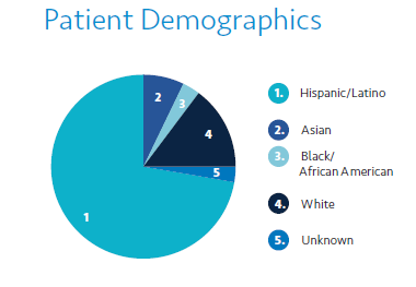 patient demographics